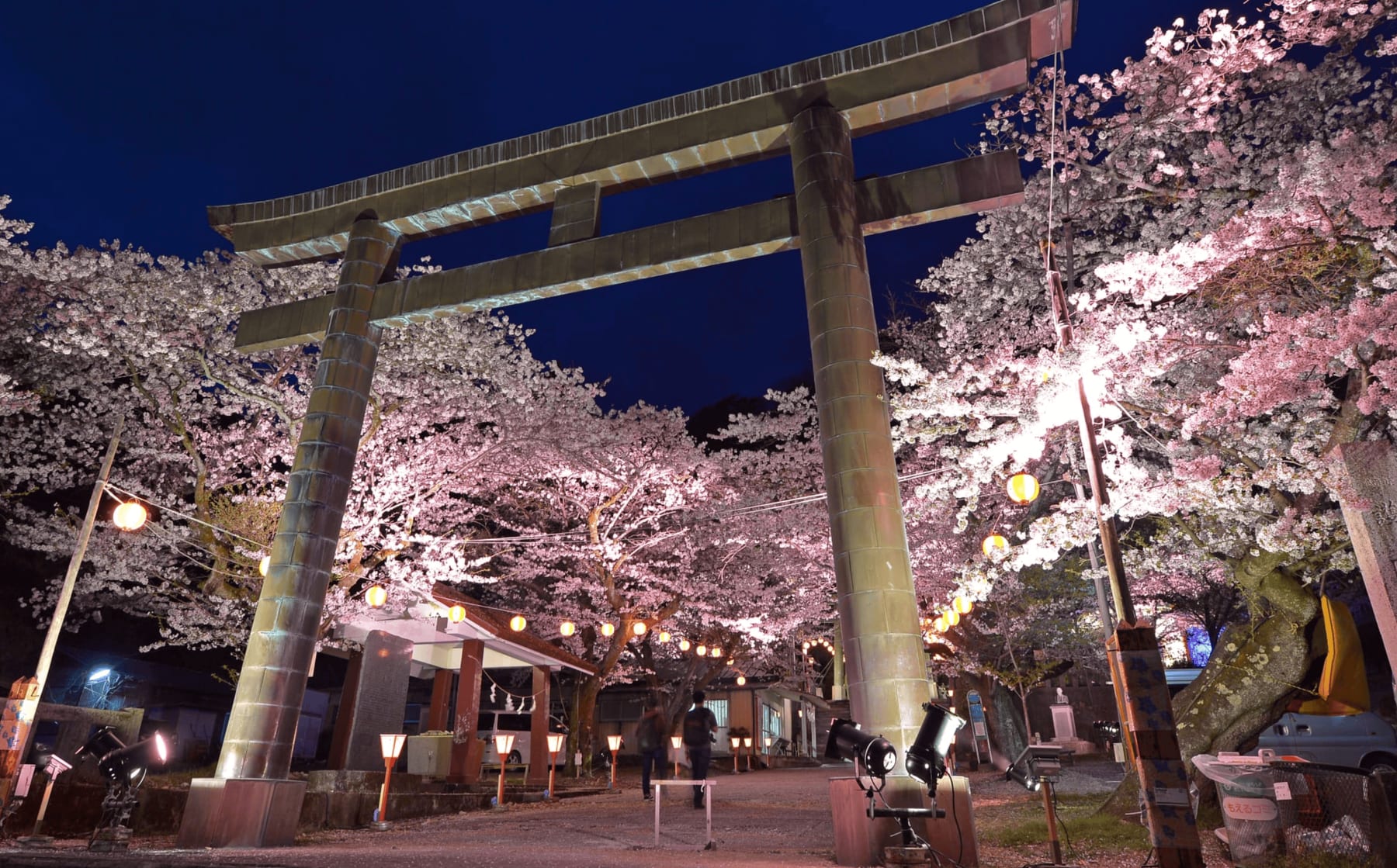 Cherry blossom trees lit by lanterns at night framing a stone torii gate at a Japanese shrine