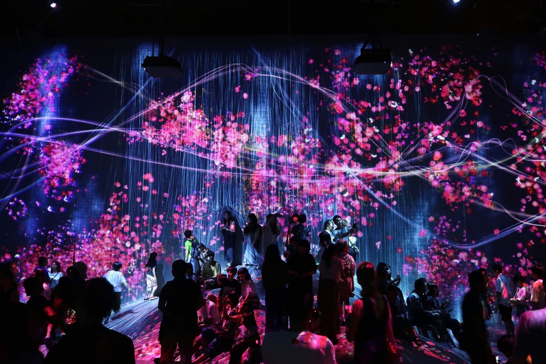 TeamLab Borderless immersive digital art installation — flowing light and reflections
