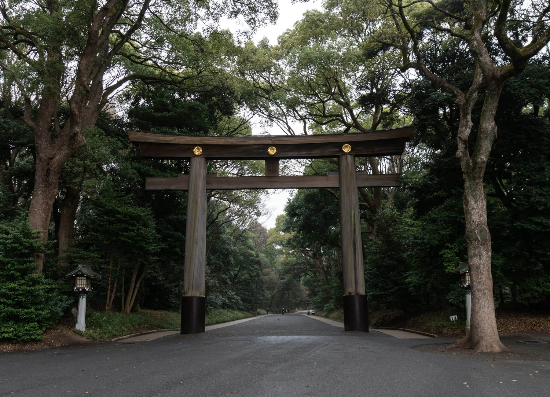 Yoyogi Park in Tokyo, tree-lined paths and open lawns in the heart of the city