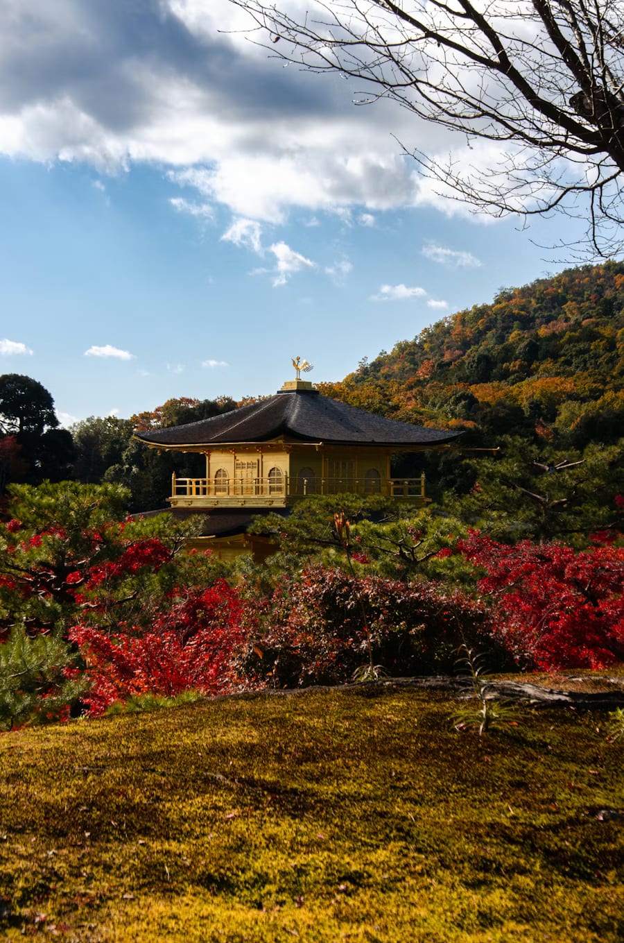 Autumn foliage framing a Kyoto temple garden, layers of amber and red maples in November light