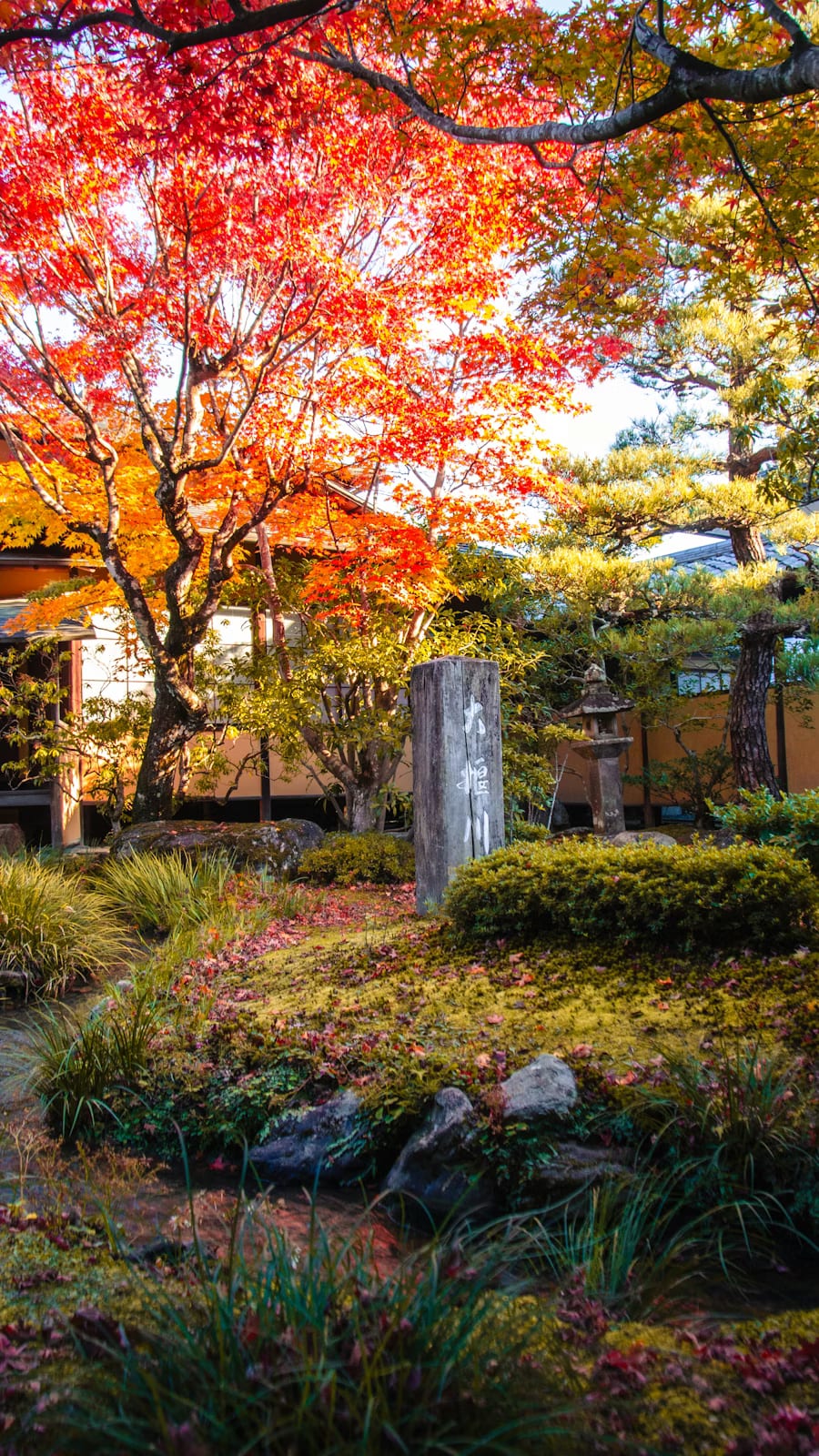 Stone lantern surrounded by deep red and amber maple foliage at a Kyoto temple in autumn