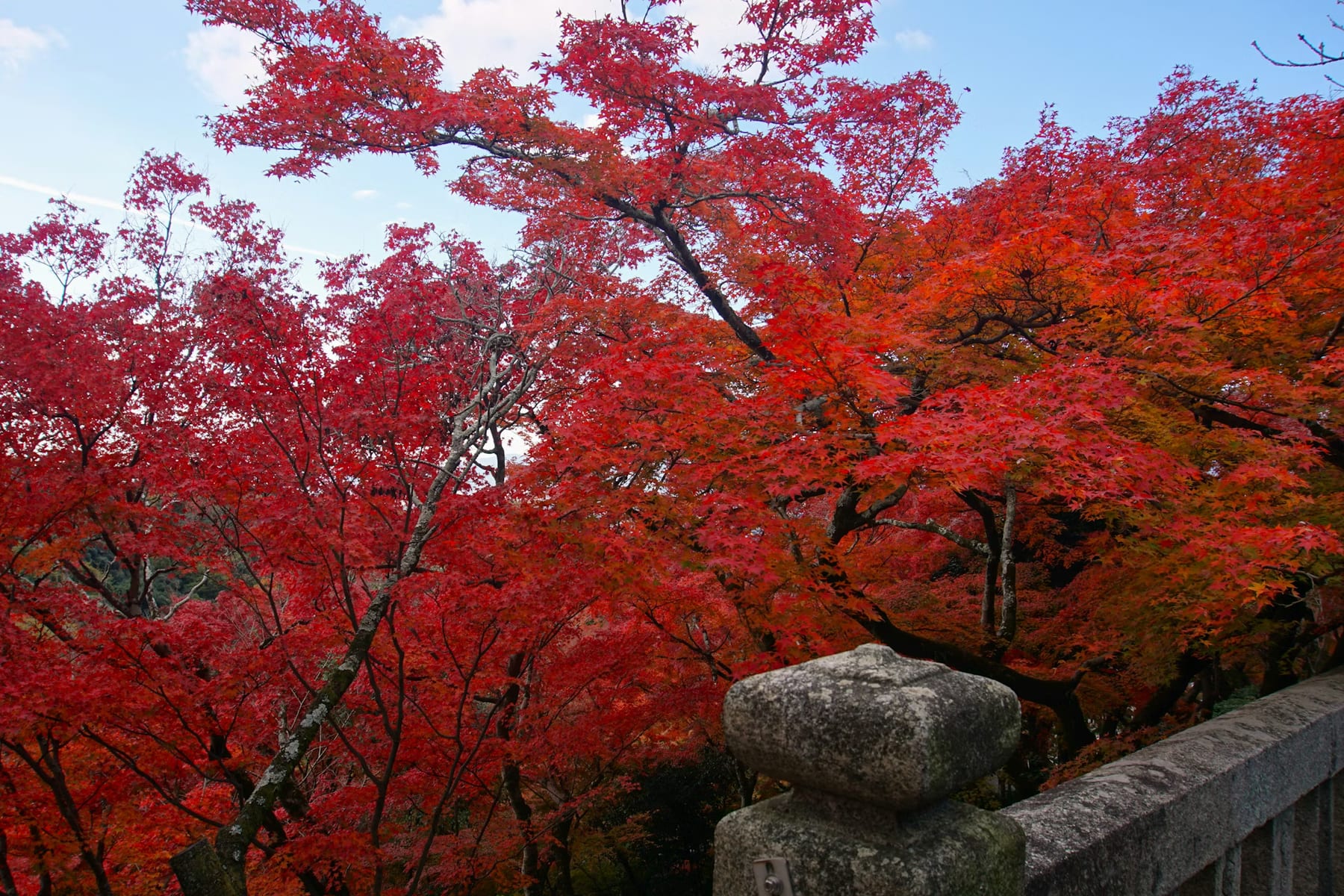 Japan in November: Where to Go and What to Expect