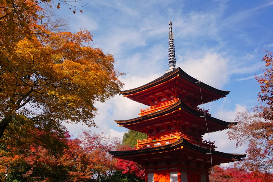 Vivid crimson maple branches against a clear blue sky in a Kyoto garden during koyo season