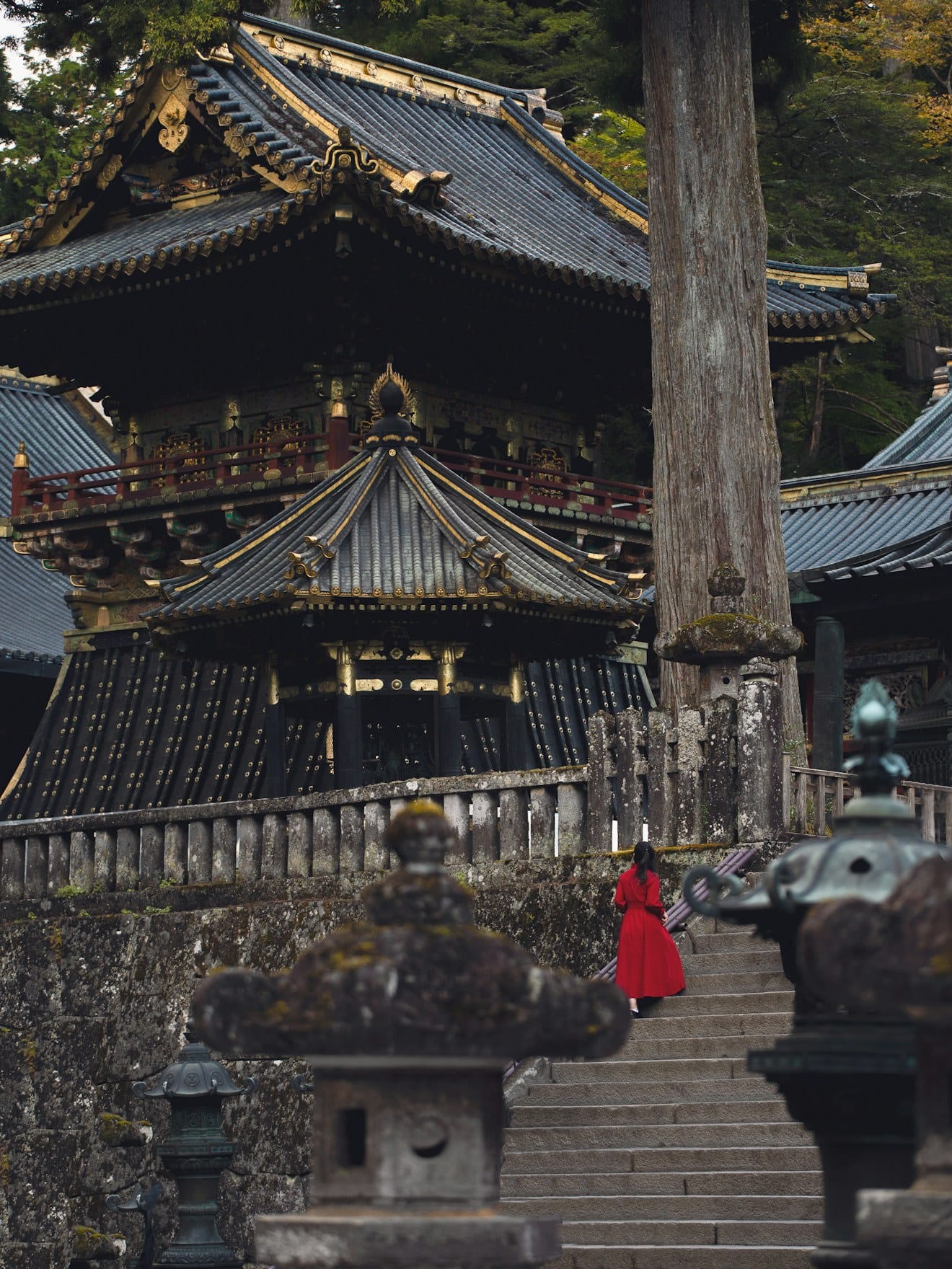 A visitor in red ascending the stone steps of Tosho-gu shrine, gilded rooftops and ancient cedars above