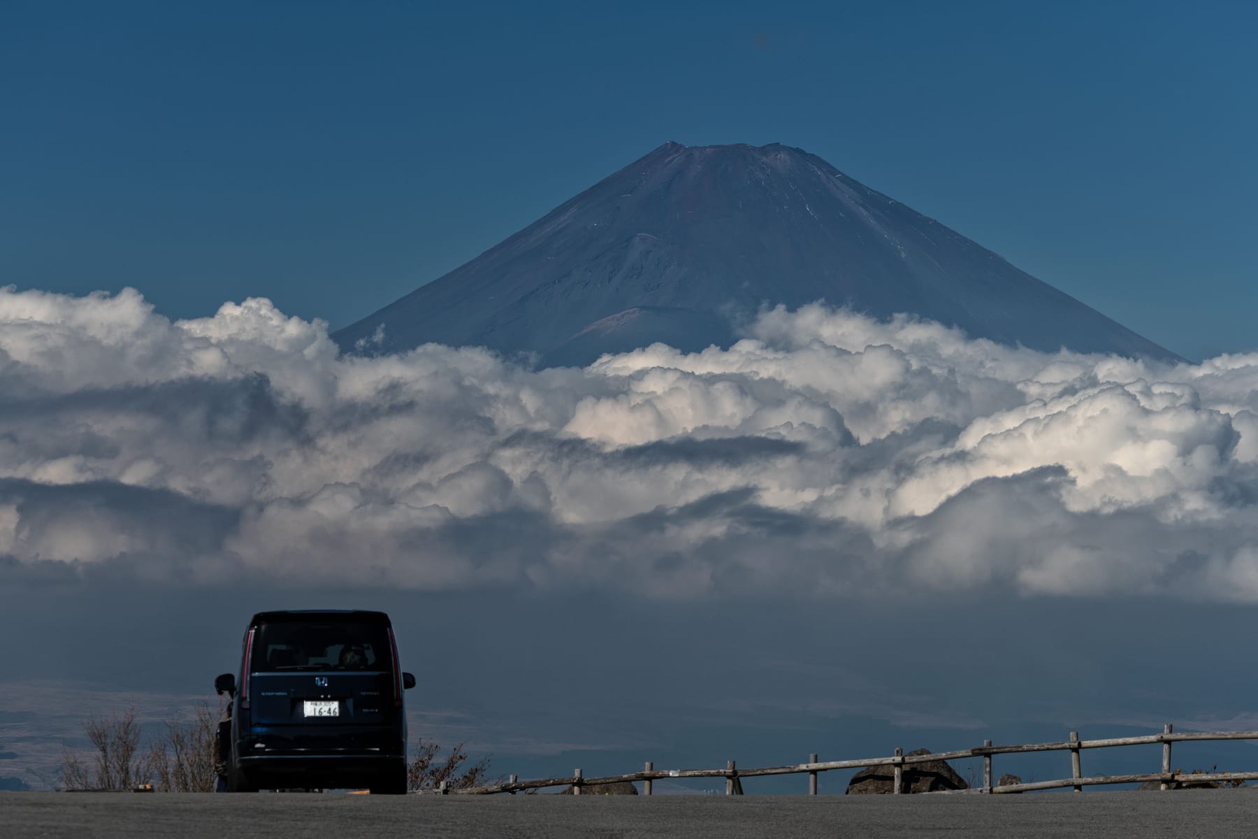 Private vs. Group Tours in Japan: Which One Is Right for You?