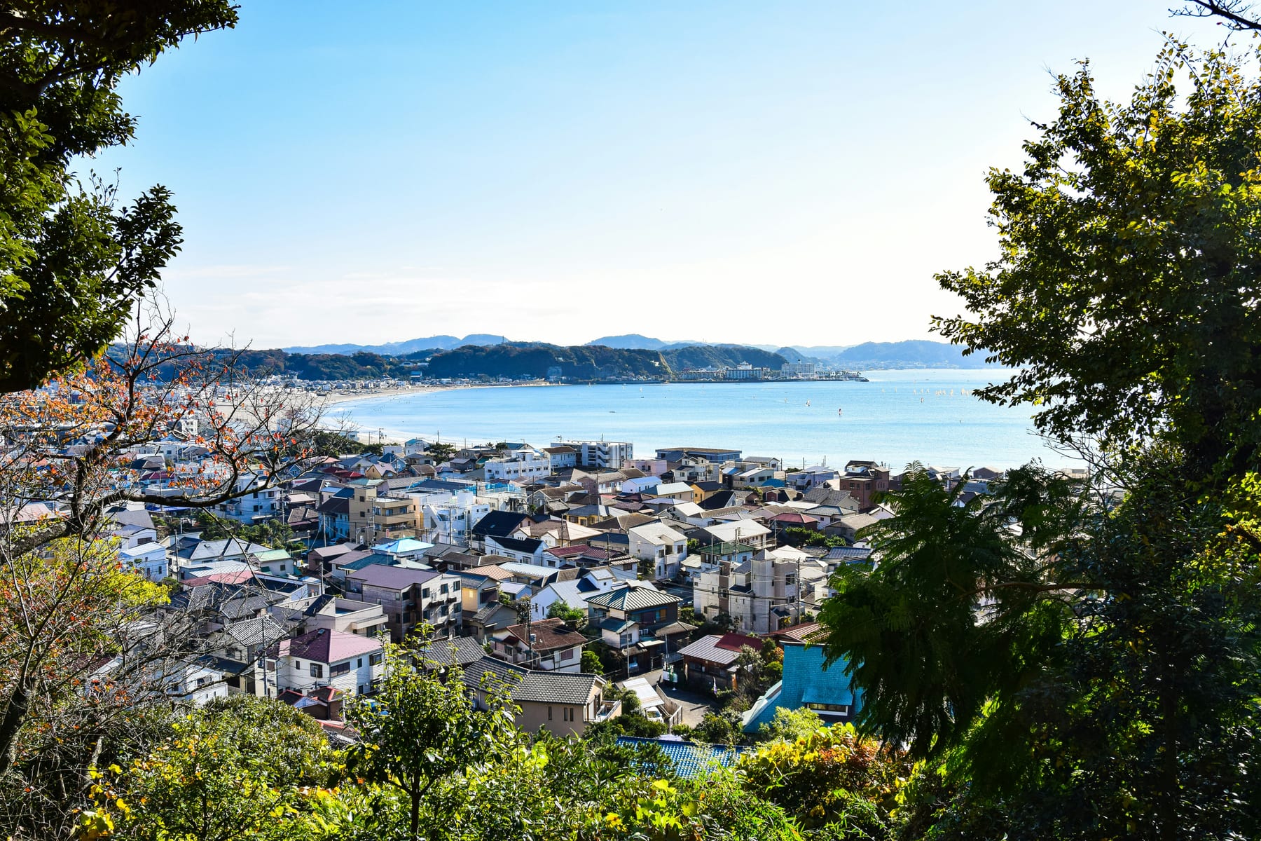 Kamakura coastline and Sagami Bay seen from a forested hilltop trail in summer