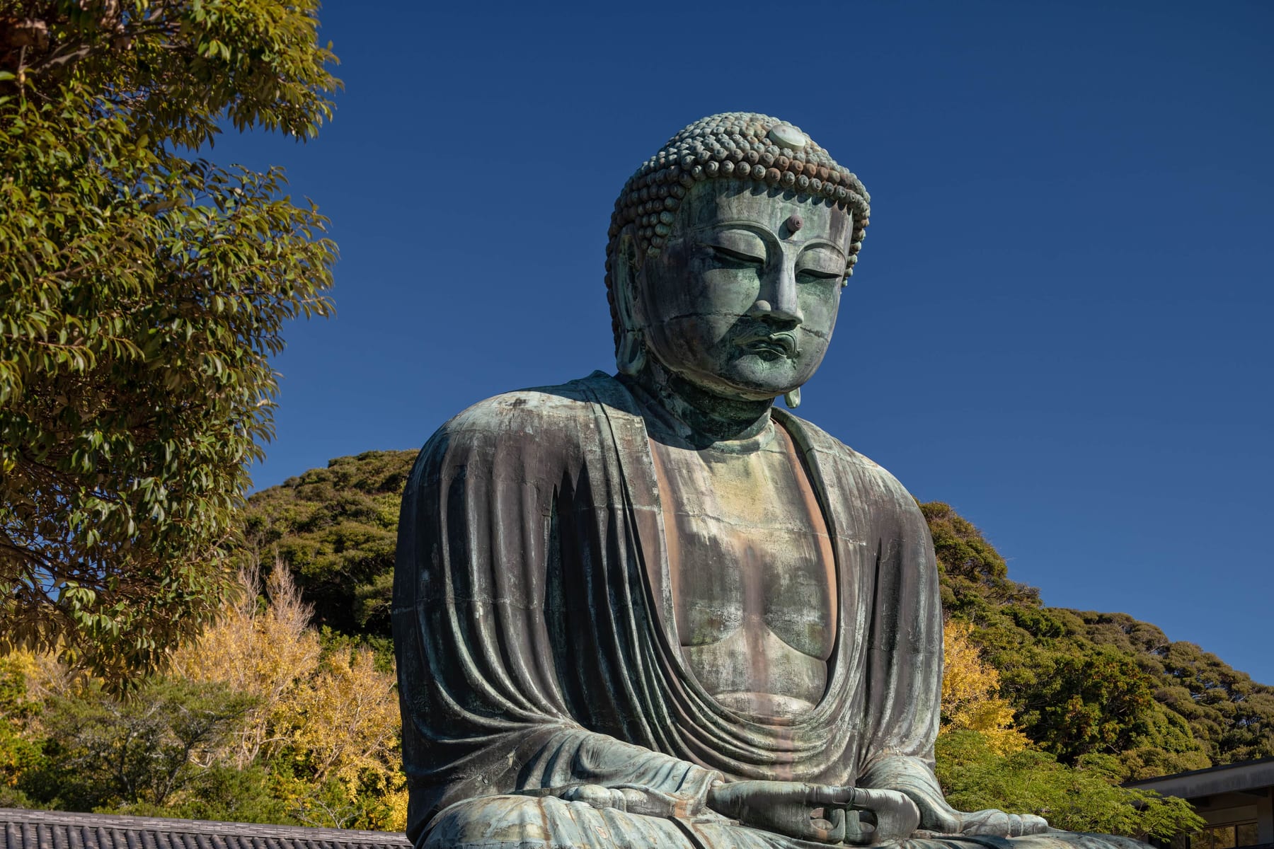 The Ultimate Kamakura Day Trip Guide