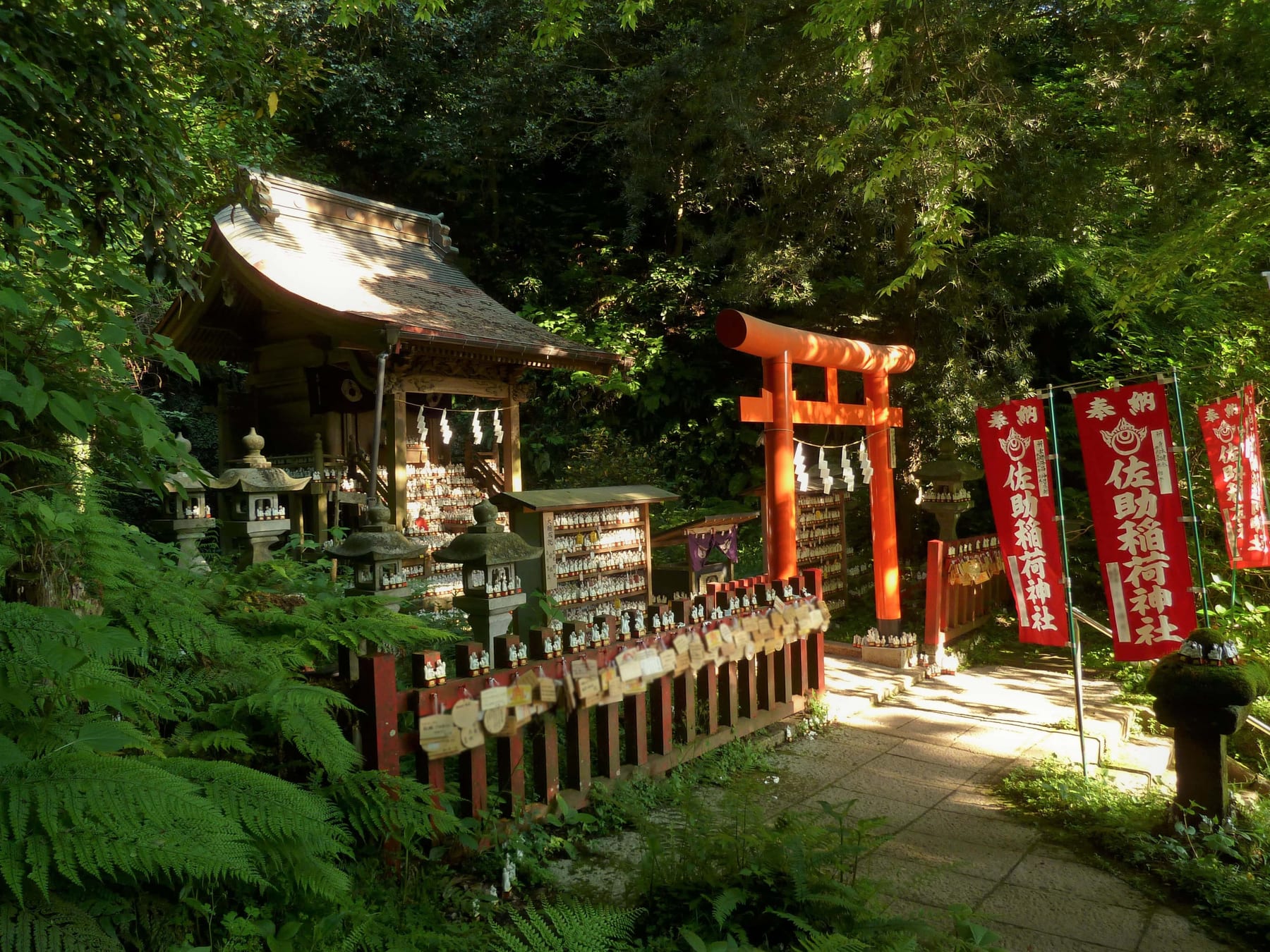 Stone path leading through a series of red torii gates in a dense Japanese cedar forest