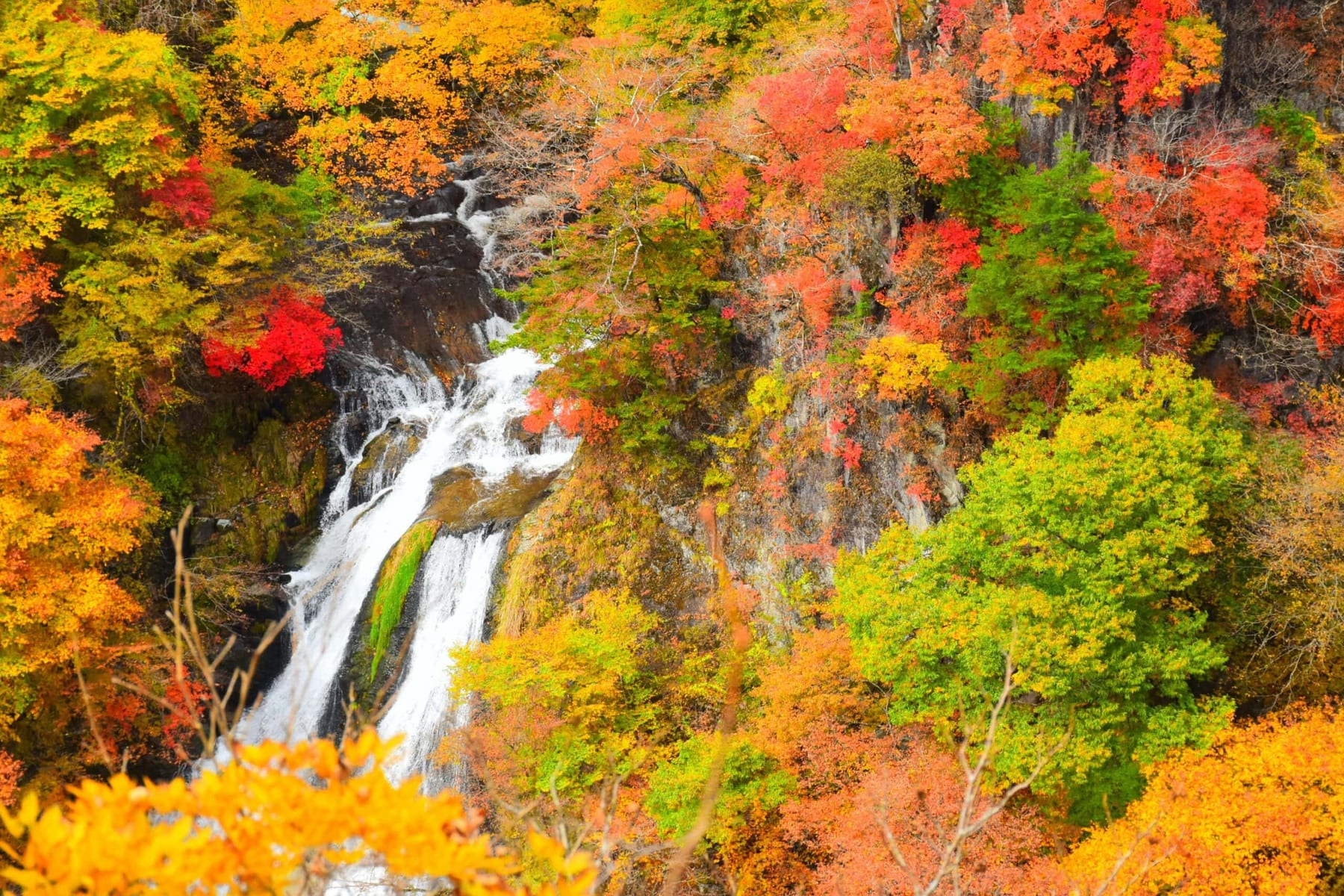 Kirifuri Falls in autumn, water cascading in multiple tiers through vivid red and orange foliage
