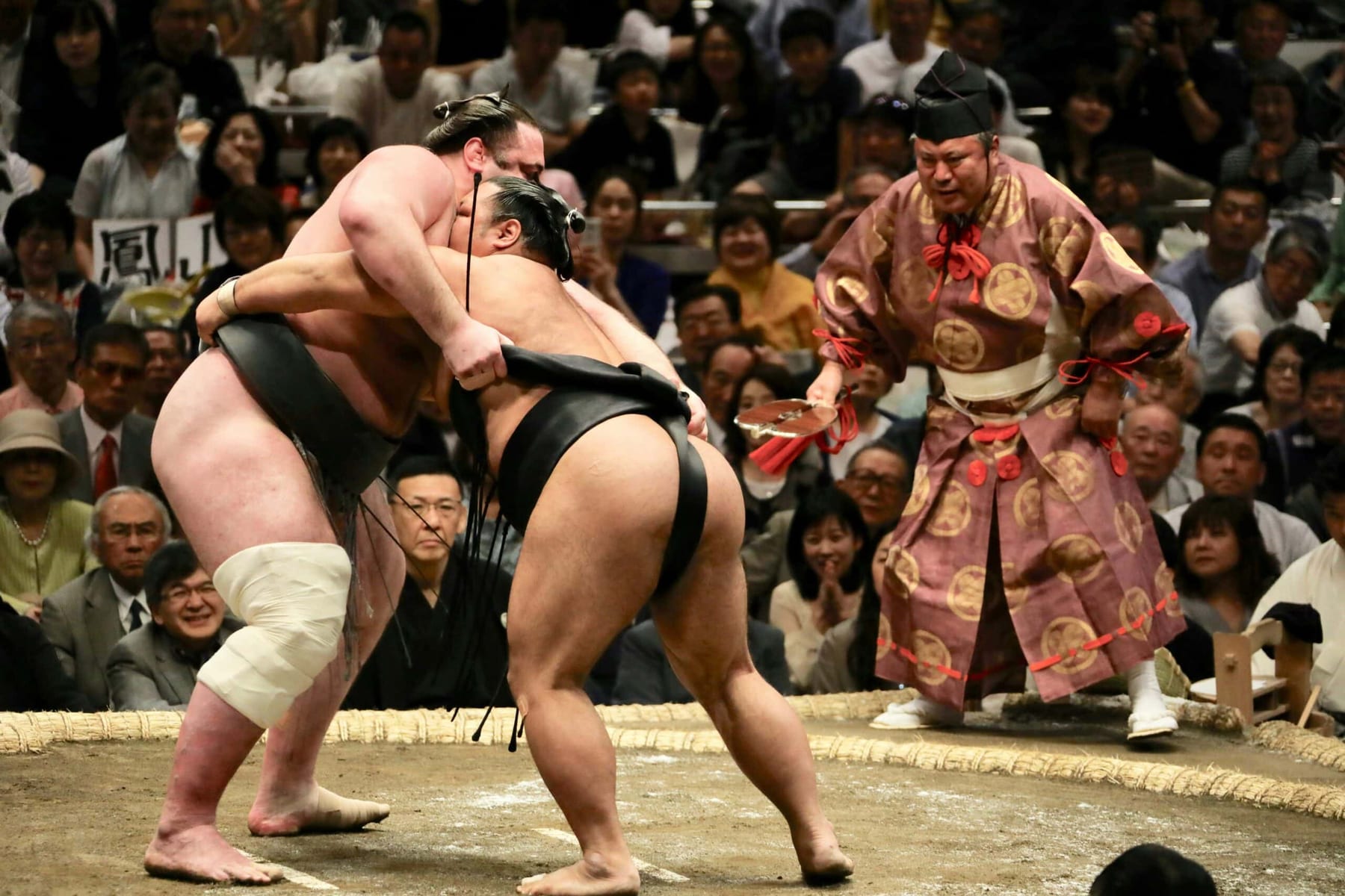 Two sumo wrestlers grappling in the ring at a tournament in Tokyo, watched by a packed crowd