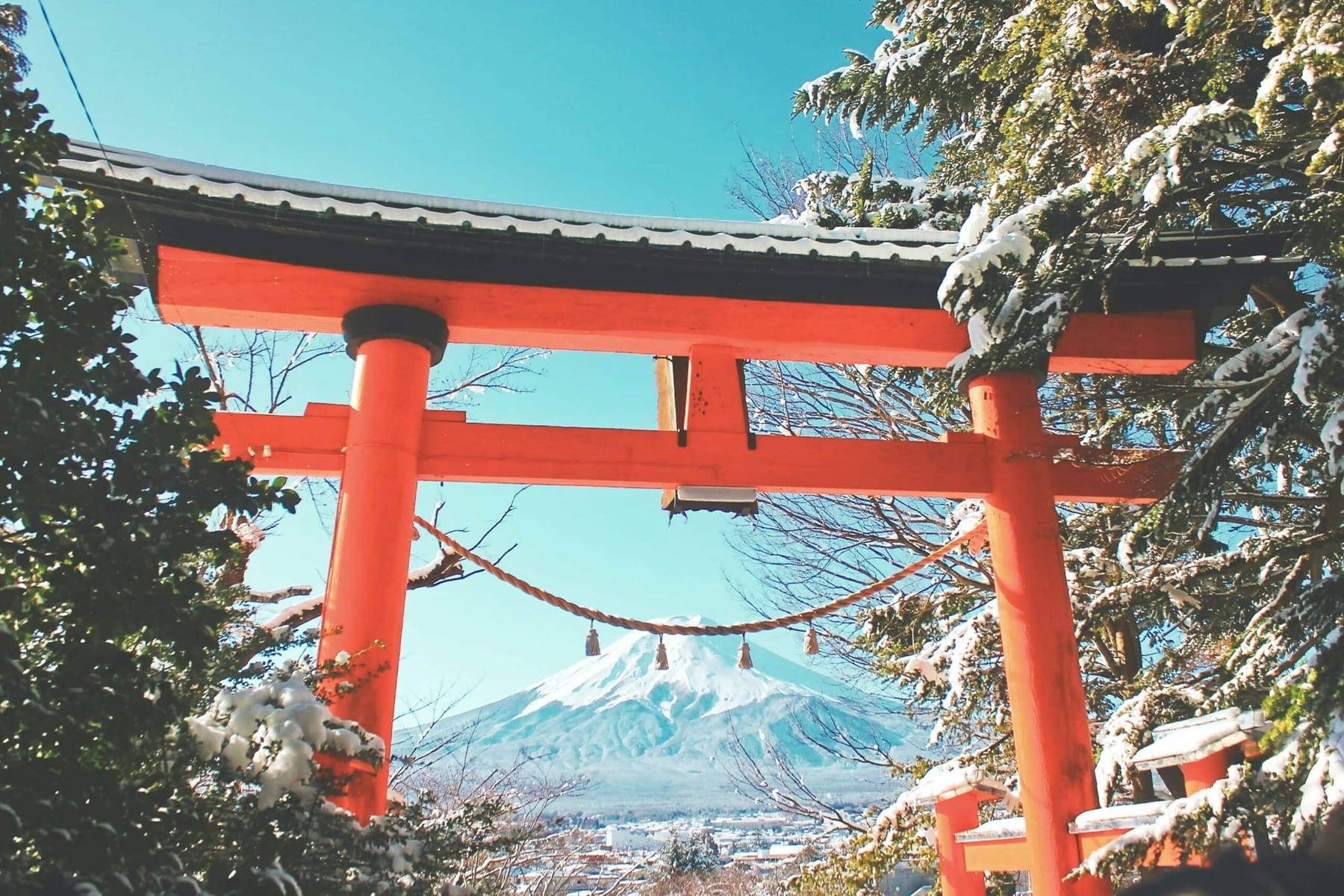A snow-covered red torii gate framing Mount Fuji on a clear winter morning, ice-laden branches visible on either side