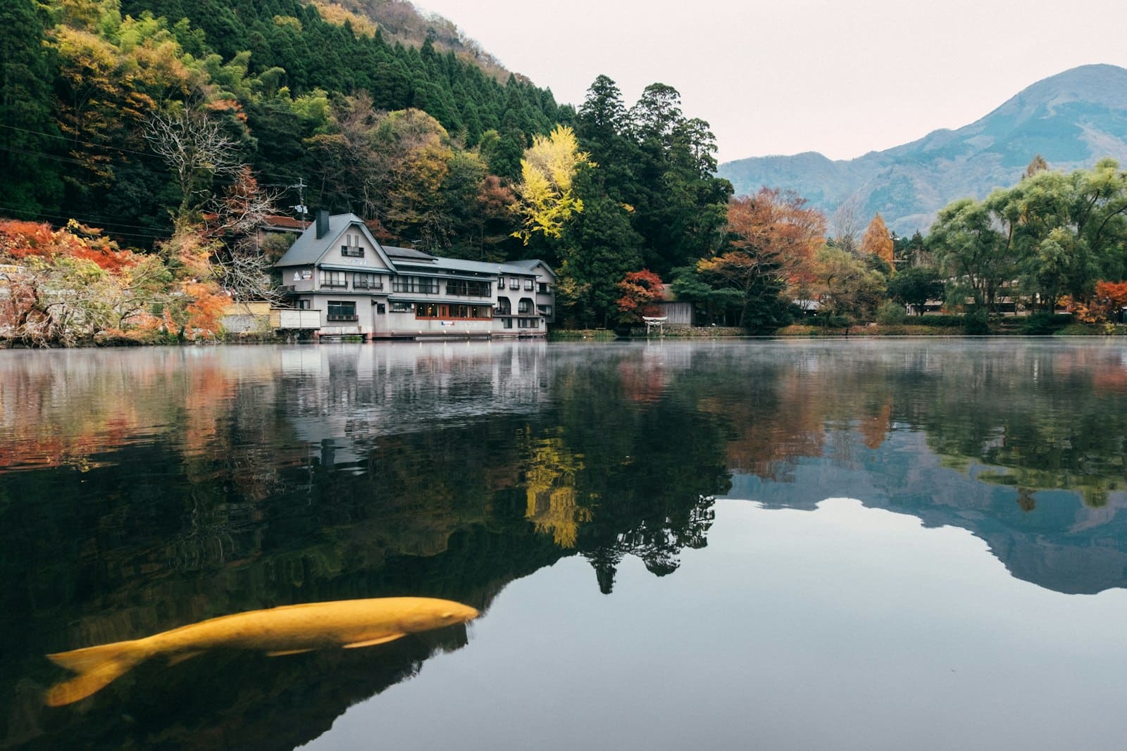Lake Kinrin with an inn at its edge in Yufuin