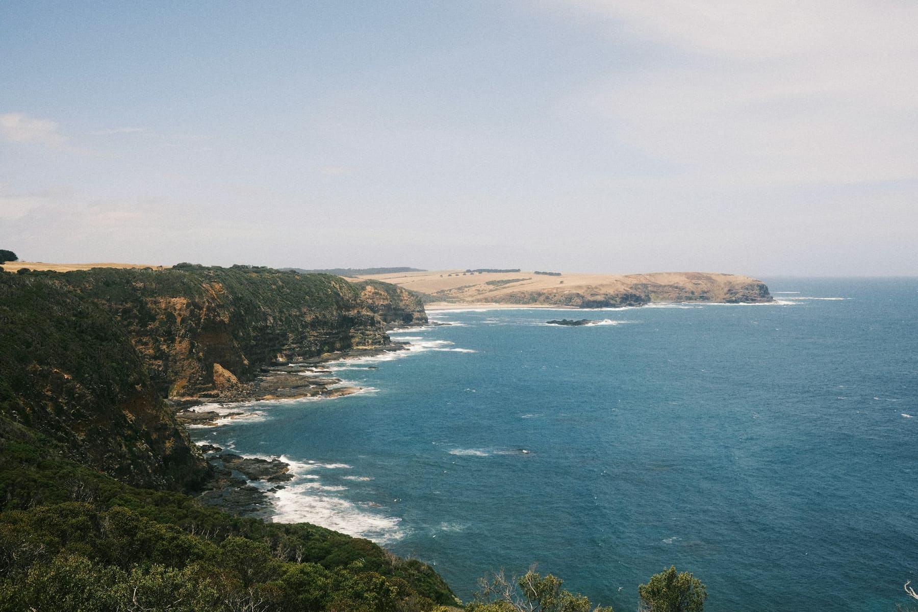 The rocky coast of the Izu peninsula