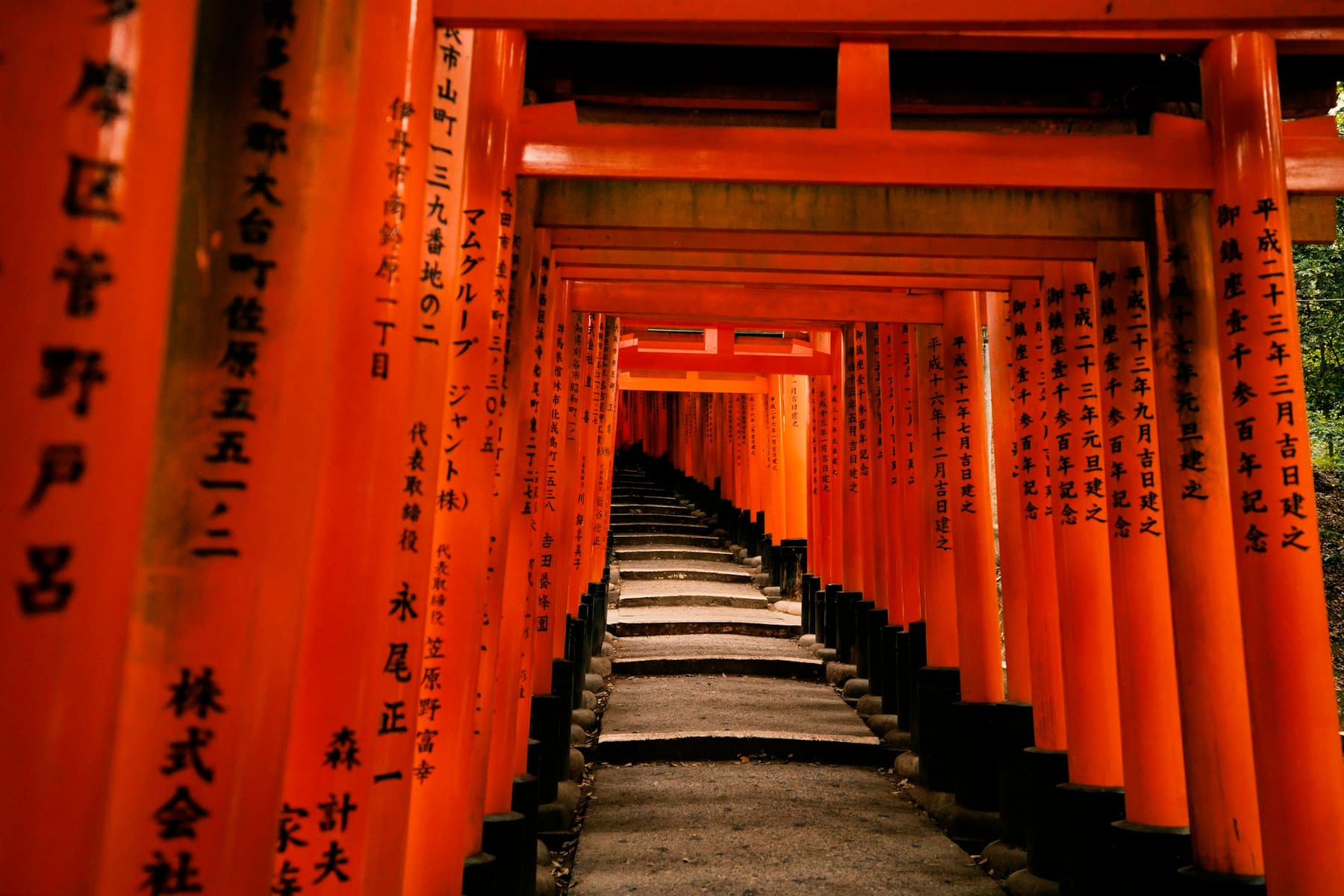 The vermilion torii gates of Fushimi Inari in Kyoto