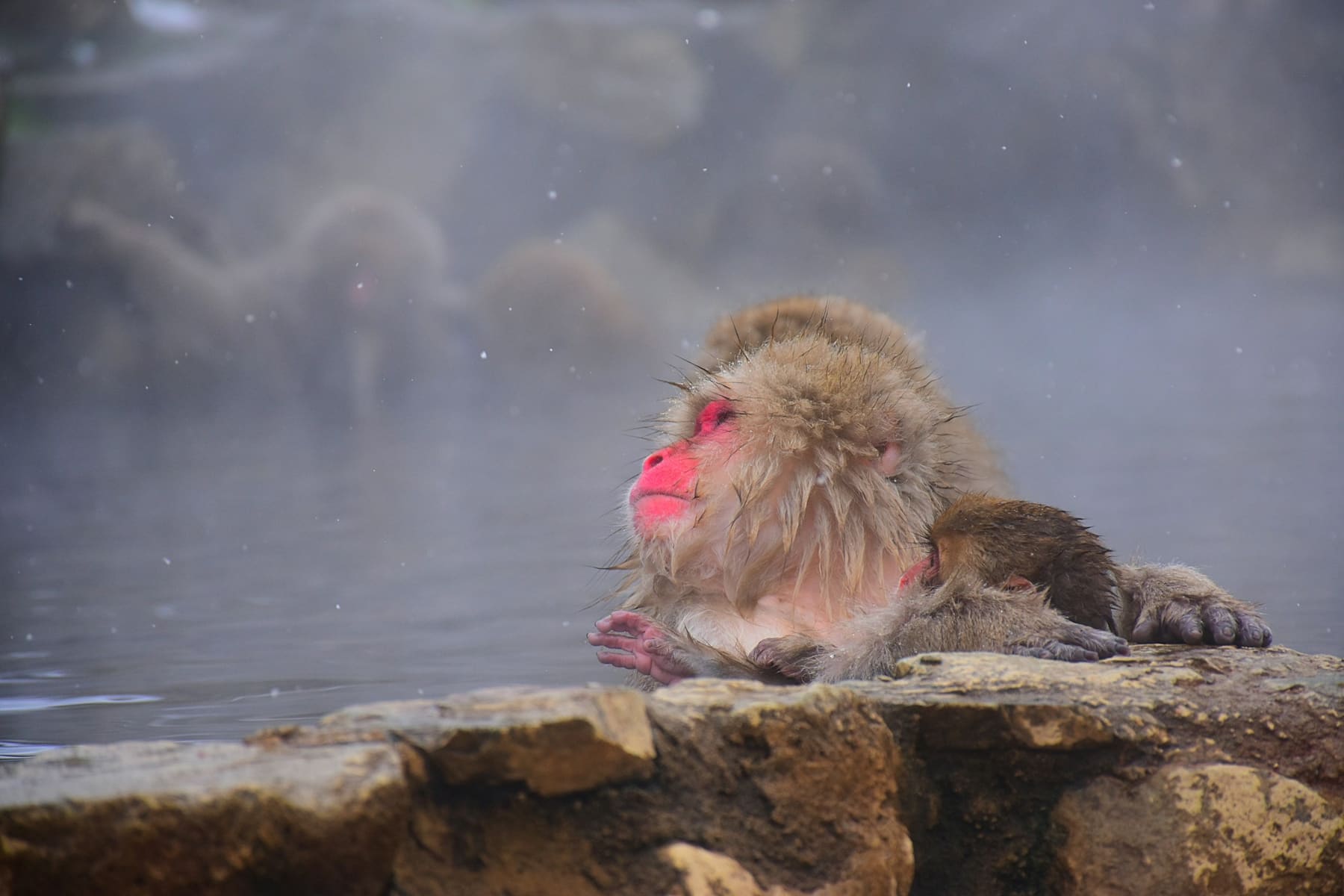 Eight Days, Onsen Country: Nagano, Gunma and Nikko