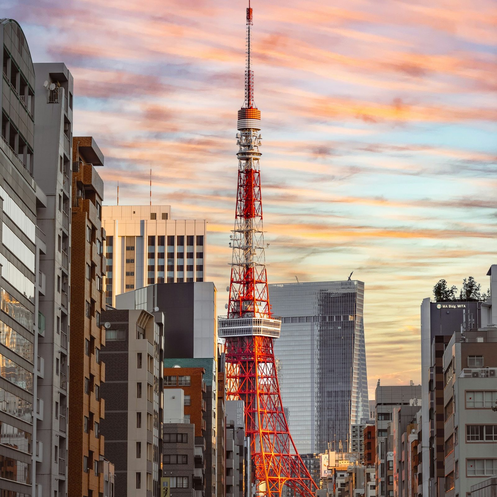Private Day Tour in Tokyo