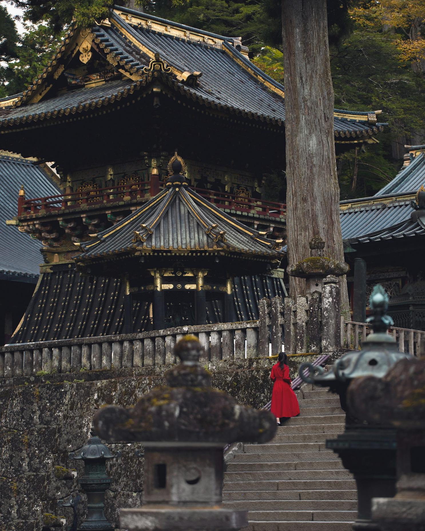 Ornate carvings at Nikko Toshogu Shrine