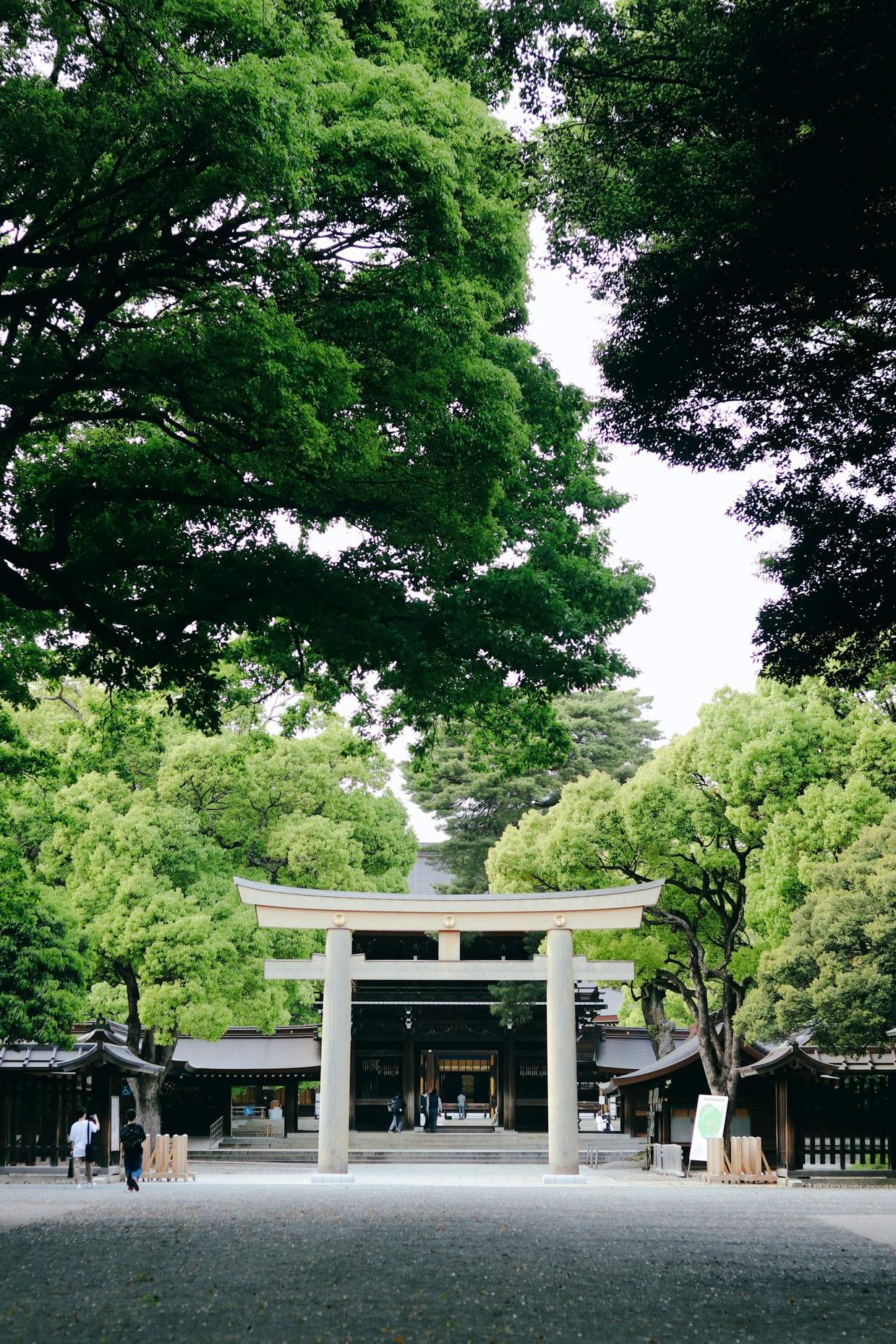The torii gate and forest path of Meiji Jingu in Tokyo